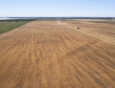 Argentina en riesgo medio por deforestación según la Unión Europea