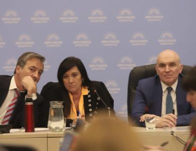 Baja de la Edad de Imputabilidad: Implicaciones y Desafíos