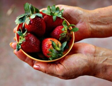 Día Internacional de la Frutilla: 12 Lugares para Celebrarla en Buenos Aires