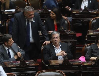 Diputados peronistas se preparan tras el fallo de la Corte Suprema