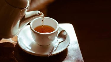 Infusión Natural para Combatir la Gripe: Propiedades de la Flor de Saúco