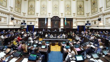 Reelección Indefinida en Buenos Aires: Desafíos y Rechazos en Diputados