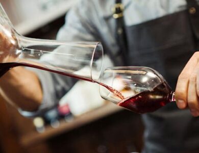 Sommelier y Enólogo: Aliados para Descubrir la Esencia del Vino Argentino