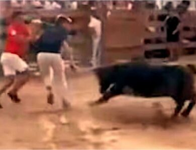 Un periodista español fue embestido en vivo por una vaca luego de ser arrastrado a una corrida