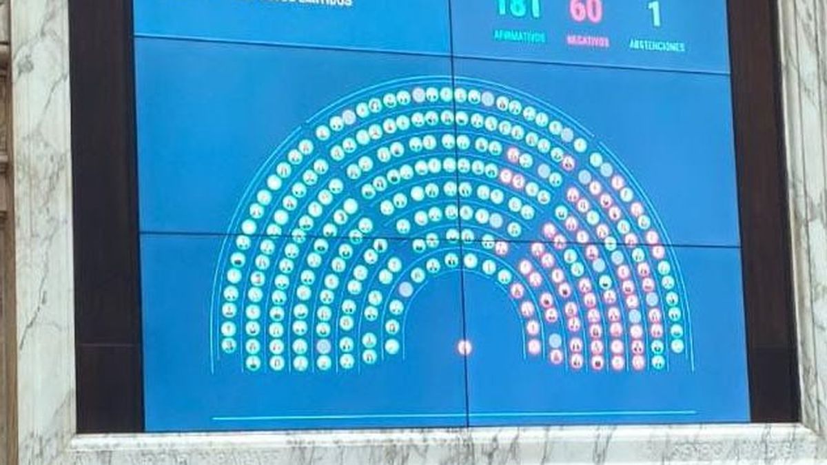 Uno por uno, así votaron los diputados los rechazos a los vetos contra el Financiamiento Universitario y la Emergencia pediátrica