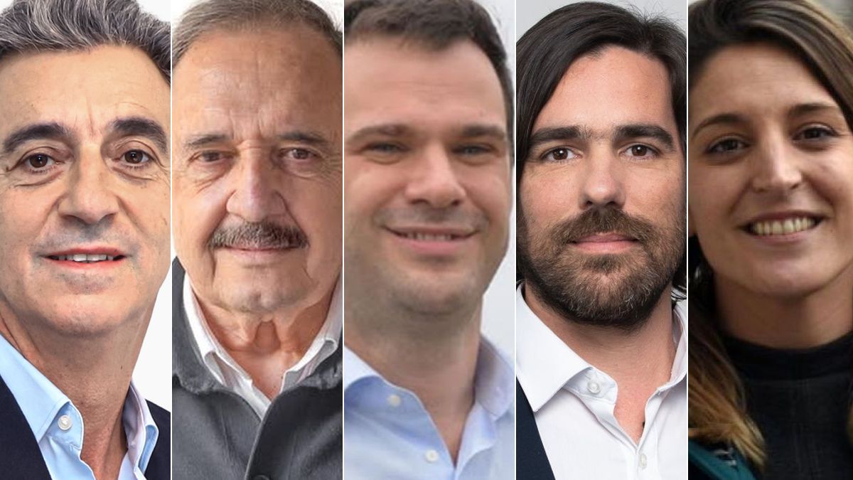 Quiénes son y qué proponen los candidatos a diputados bonaerenses por fuera de la grieta