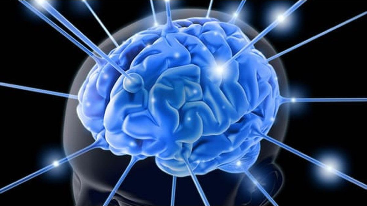 desarrollan un método para descifrar cómo interactúan las regiones del cerebro