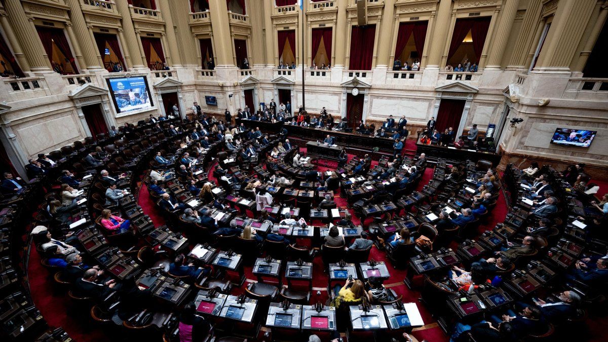 Diputados convocó a sesión especial para tratar vetos de Javier Milei al Garrahan y financiamiento universitario