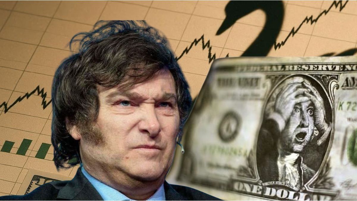 dólar, ¿cepo? y la sombra de un cisne negro