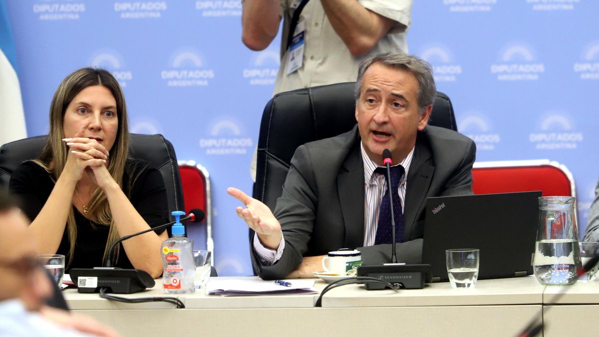 el Gobierno dio curso en Diputados al reclamo de familiares, pero escondieron una maniobra