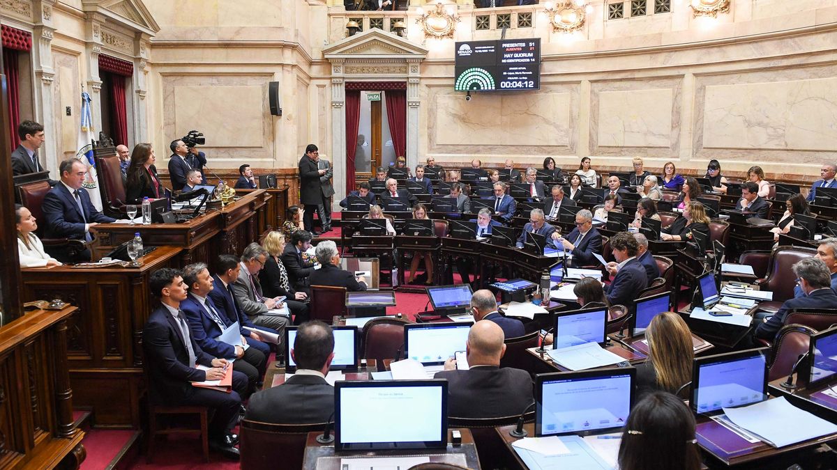 El Senado sesionará este jueves para tratar los vetos sobre el Garrahan y el financiamiento a universidades
