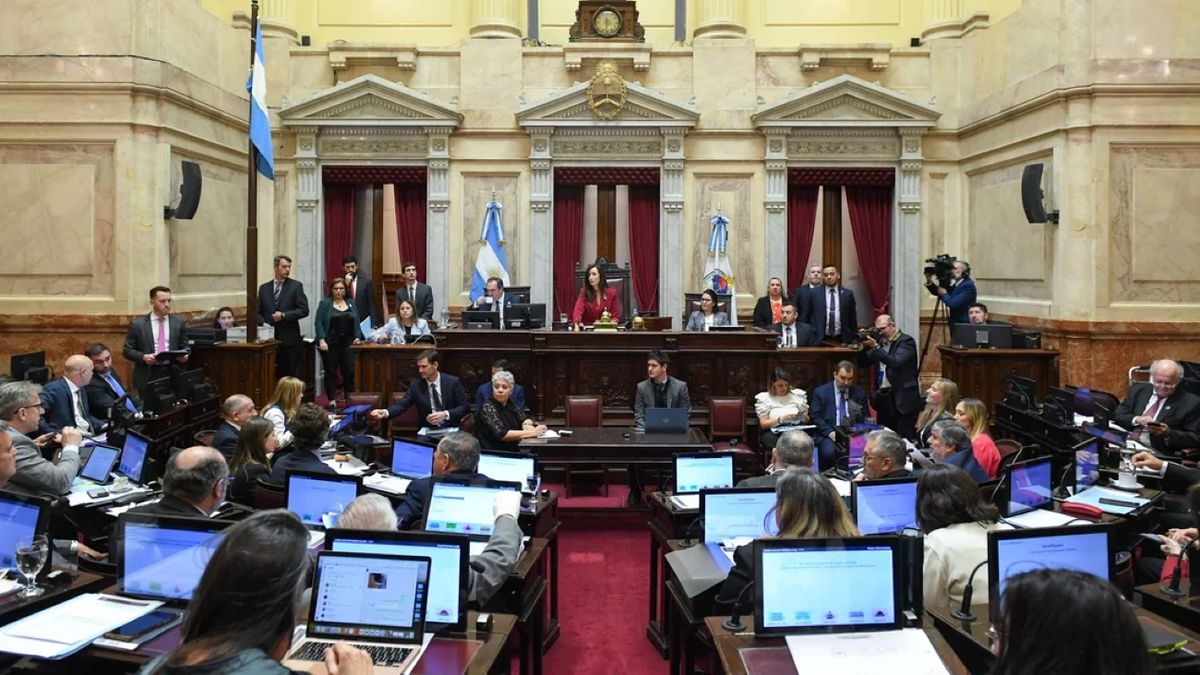 Senado vuelve a la carga y podría revertir definitivamente el veto a la discapacidad