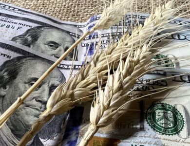 El dólar oficial opera en mínimos del mes y hay expectativa sobre nuevas compras del Tesoro tras el aluvión del agro