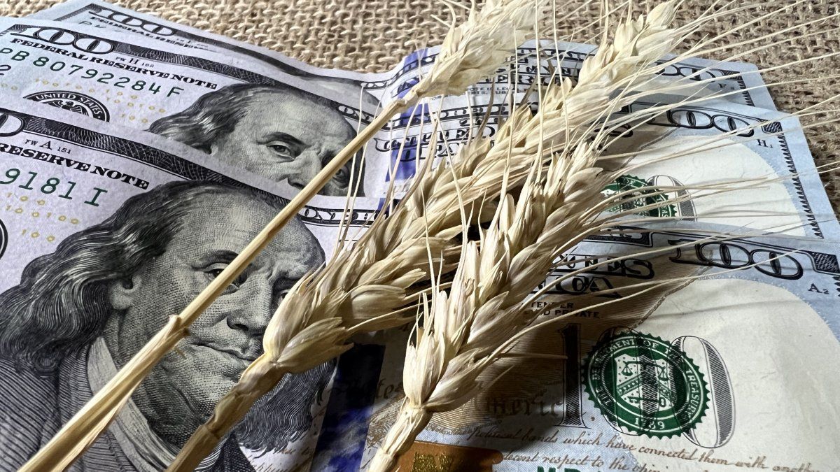 El dólar oficial opera en mínimos del mes y hay expectativa sobre nuevas compras del Tesoro tras el aluvión del agro