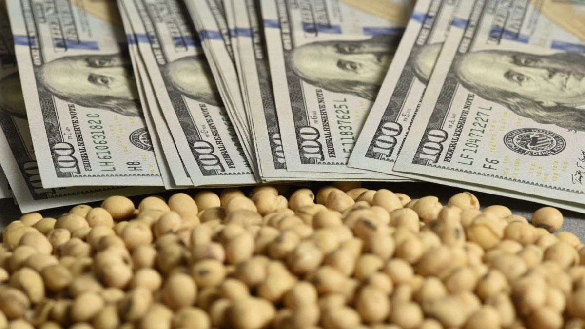 el poder de compra de la tonelada de soja alcanzó máximos de un año