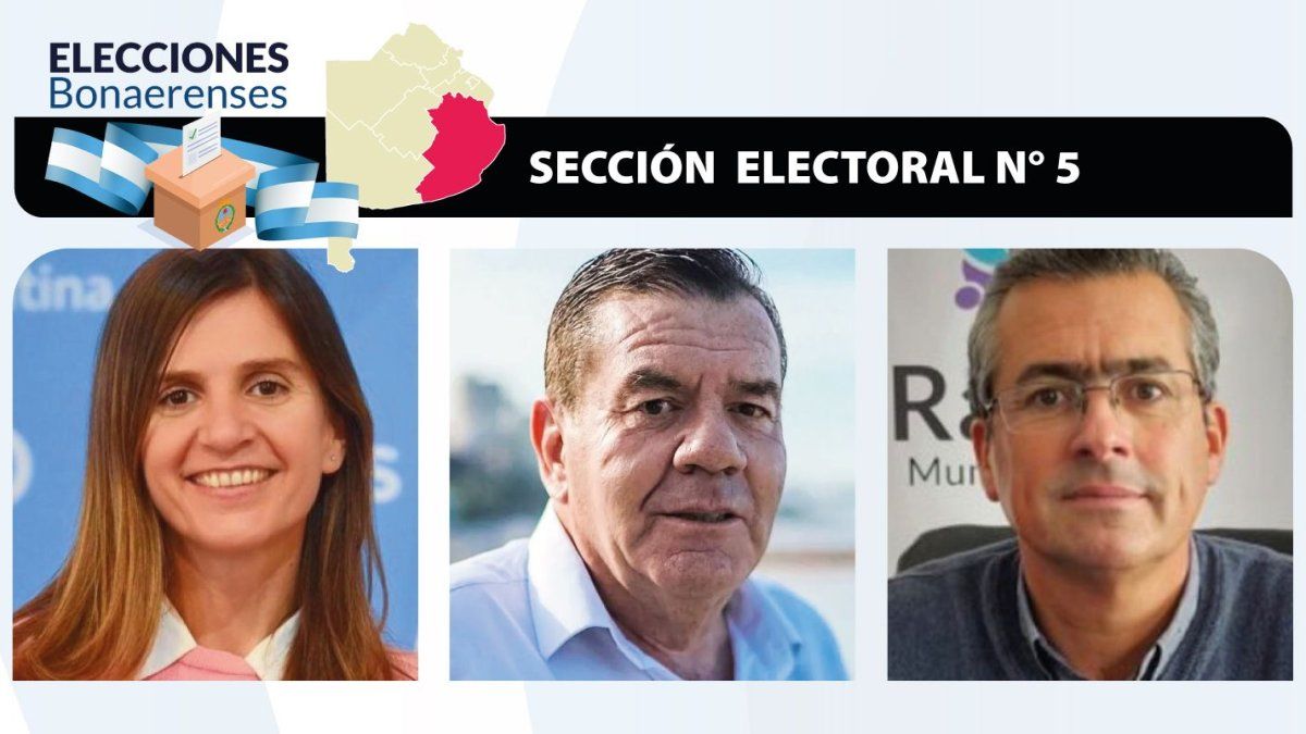 el voto marplatense y la regla del 20% definen un test de peso