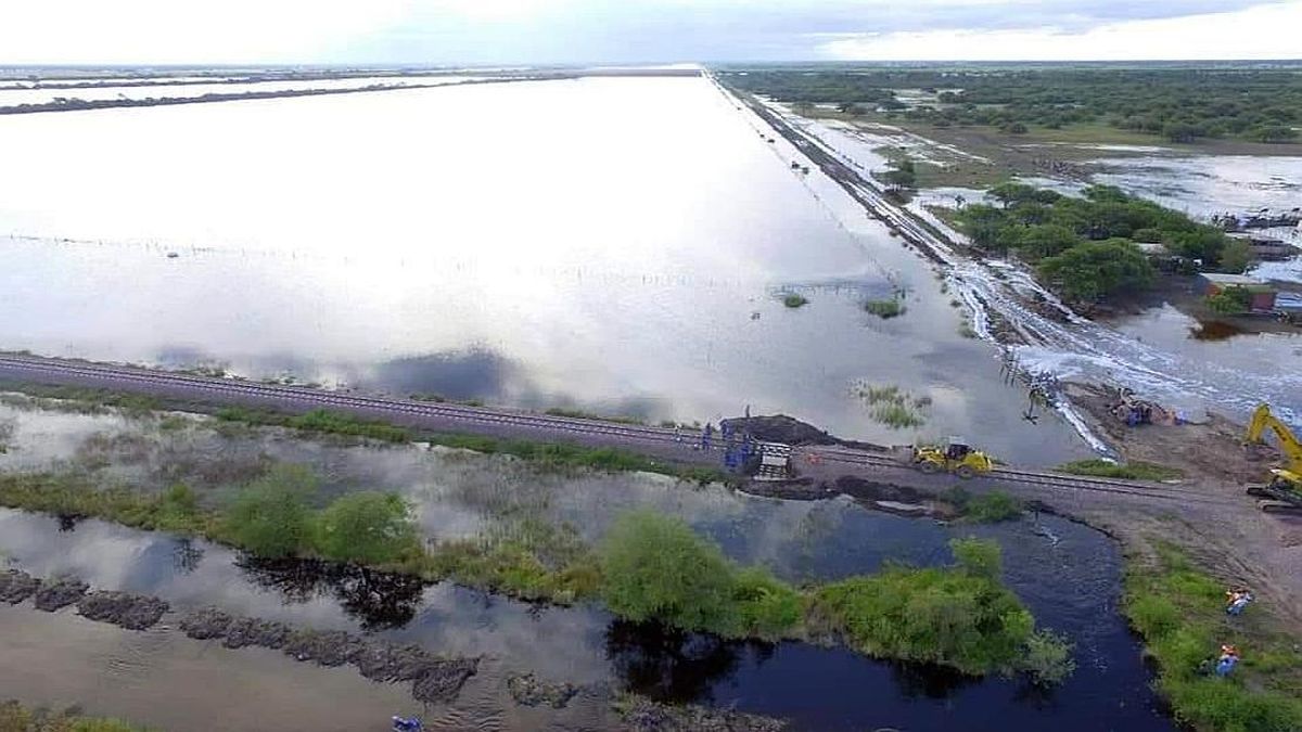 Declaran la emergencia agropecuaria en Buenos Aires y San Juan por inundaciones, granizo y enfermedades