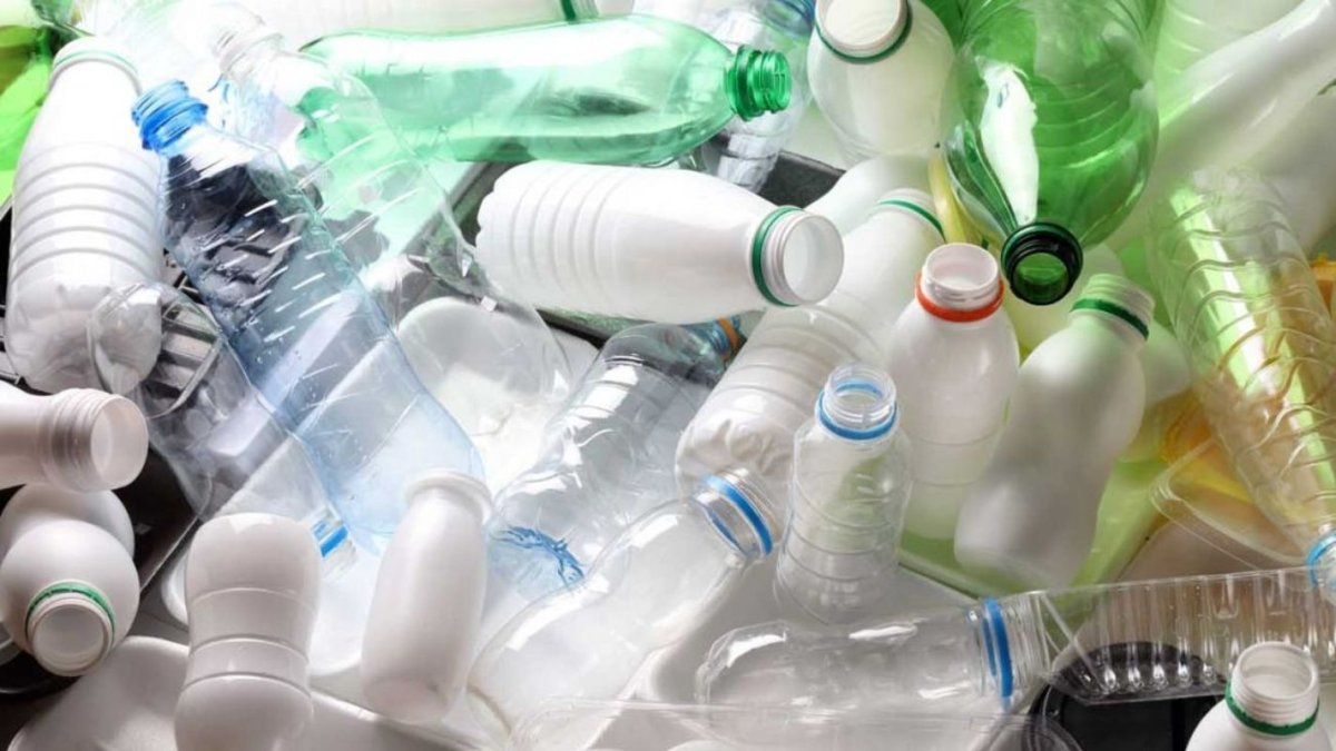 Exigen que empresas de envases en contacto con alimentos designen directores técnicos