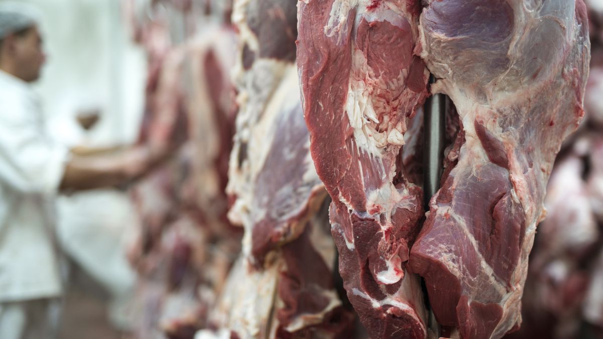 El Gobierno oficializó eliminación temporal de las retenciones a la carne vacuna y aviar
