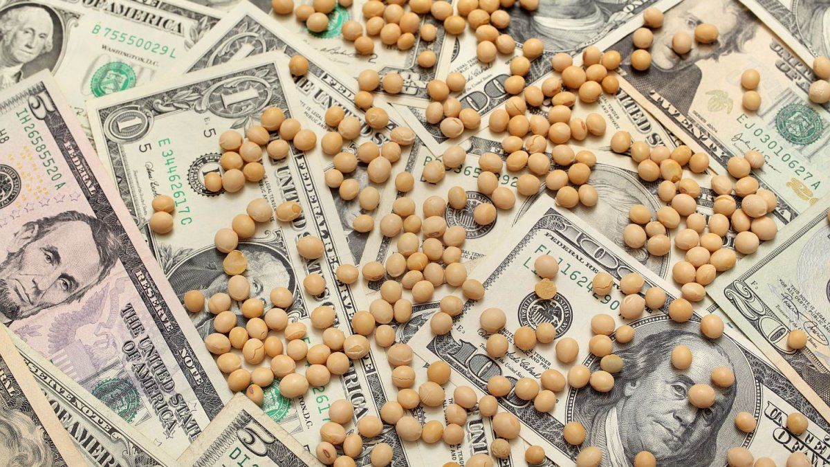 Cómo impactará la baja de retenciones temporal en el dólar y las reservas, según economistas