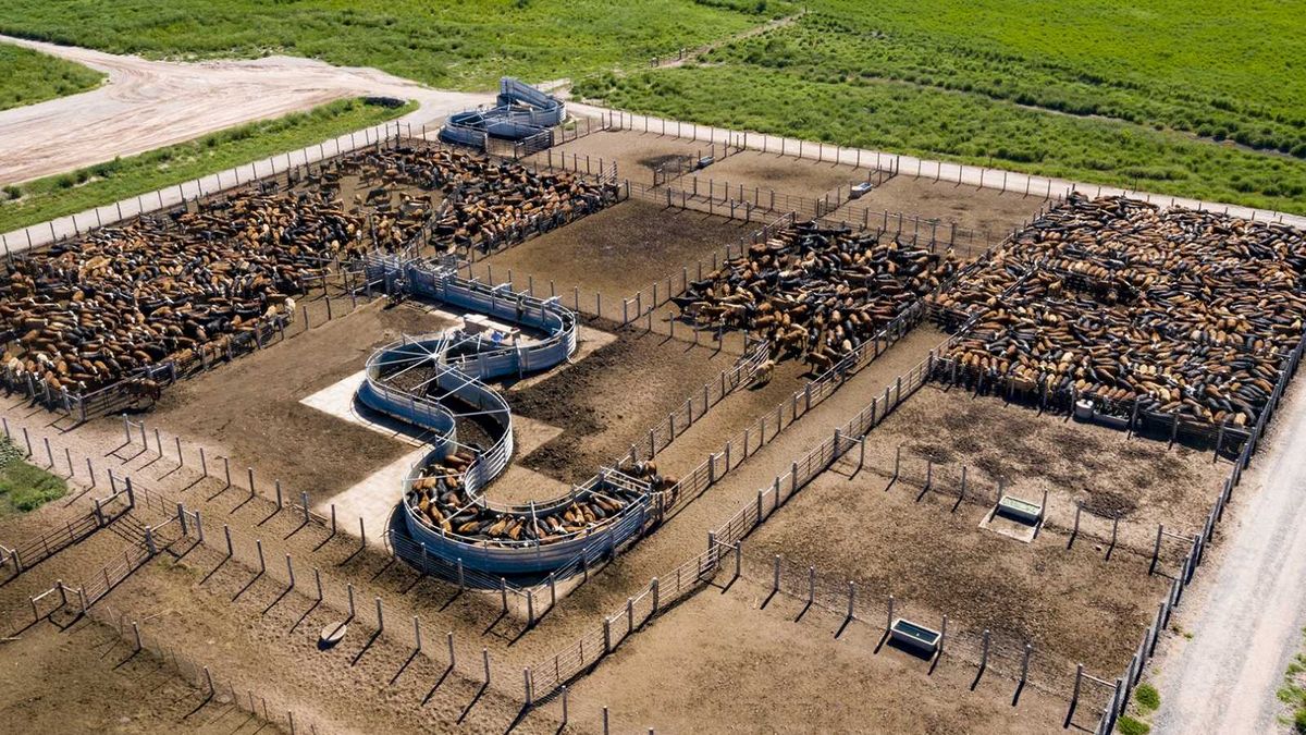 Inversora Juramento compró megacampo por u$s56,4 millones