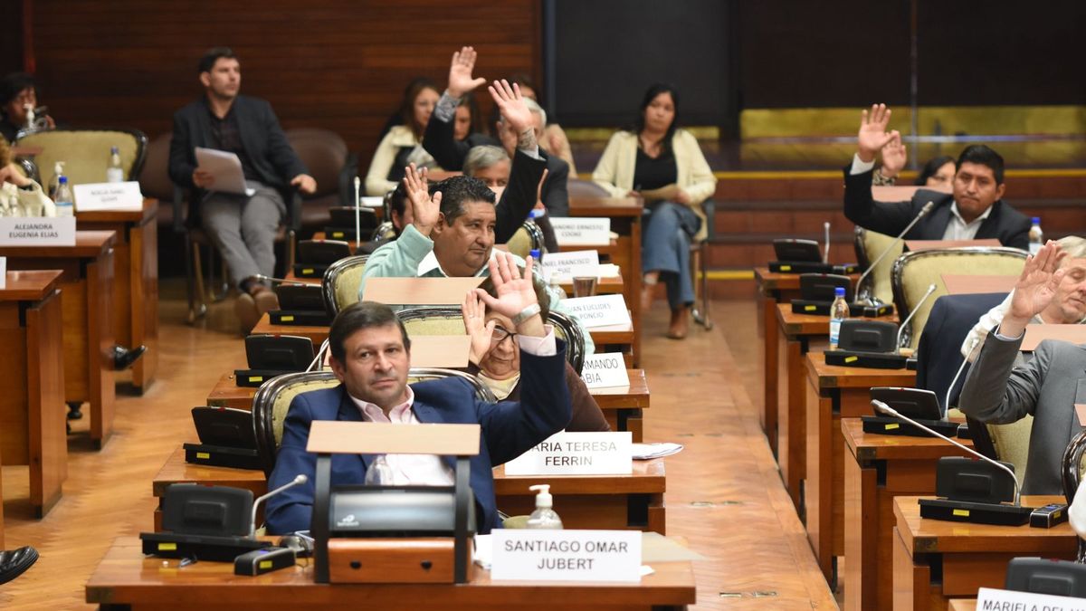 la Legislatura aprobó una ley que permite la privatización de las empresas estatales