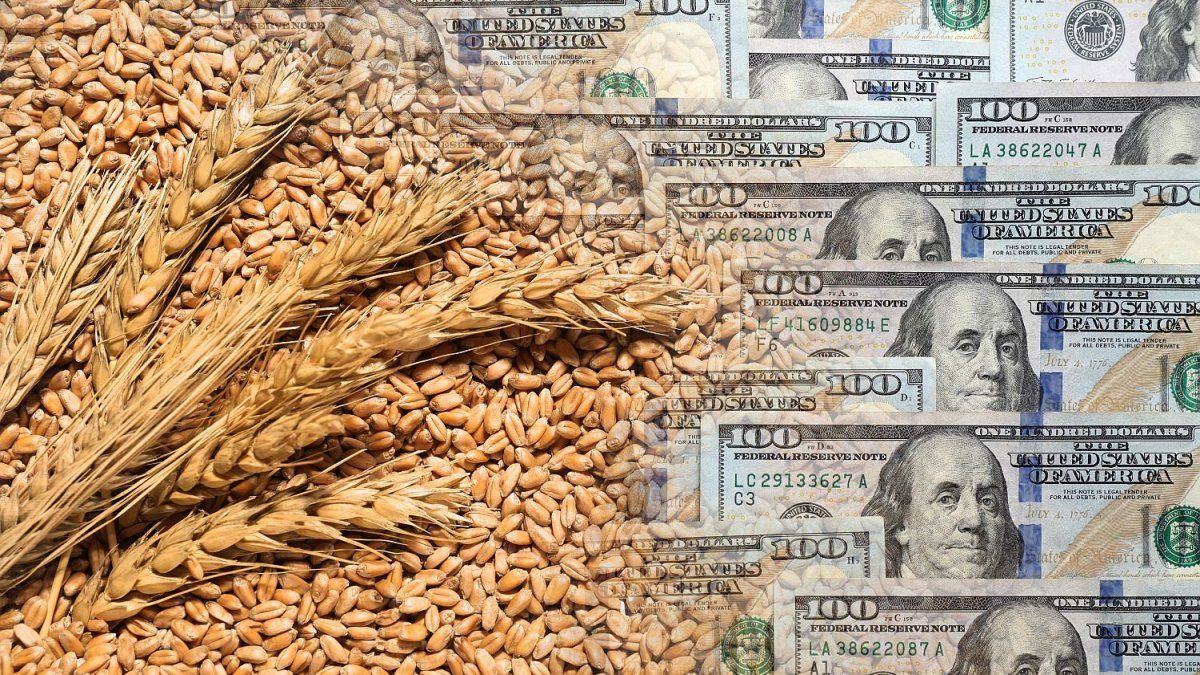 Entre la sorpresa y la satisfacción, la reacción del campo al anuncio de retenciones cero para todos los granos