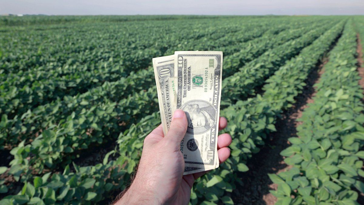 las exportaciones del agro ya alcanzaron el cupo de u$s7.000 millones
