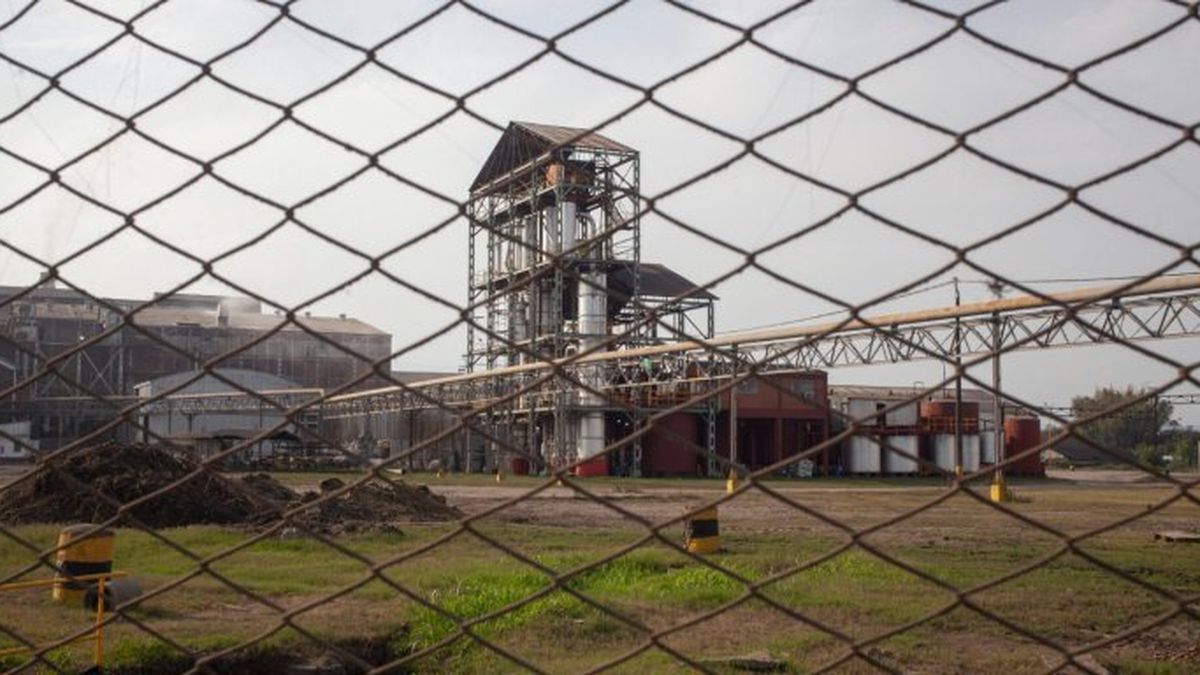 piden elevar a juicio una causa por delitos de lesa humanidad por riesgo de impunidad biológica