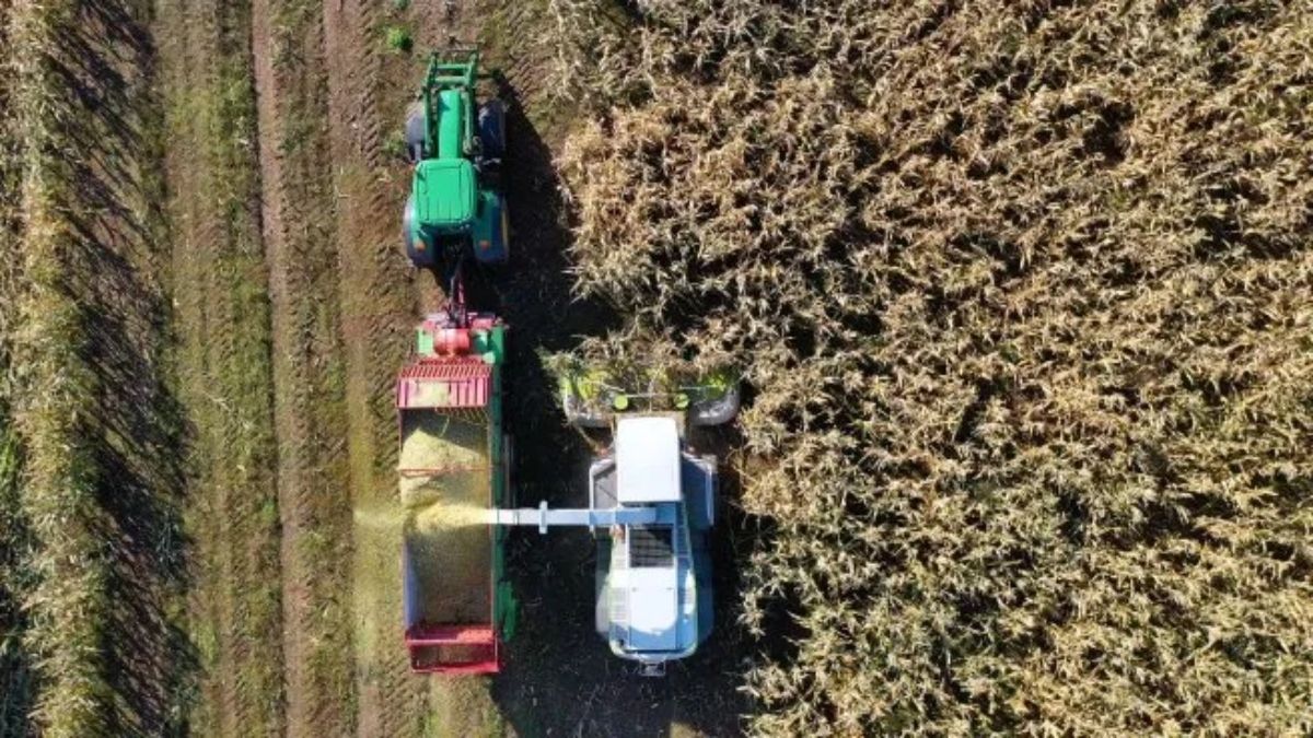productores en alerta, con malestar y dudas sobre el precio de la soja en el mercado local
