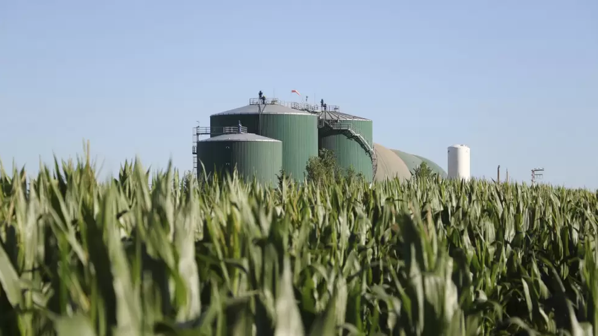 Provincias reclaman ley de biocombustibles ante la resistencia de un sector de los productores