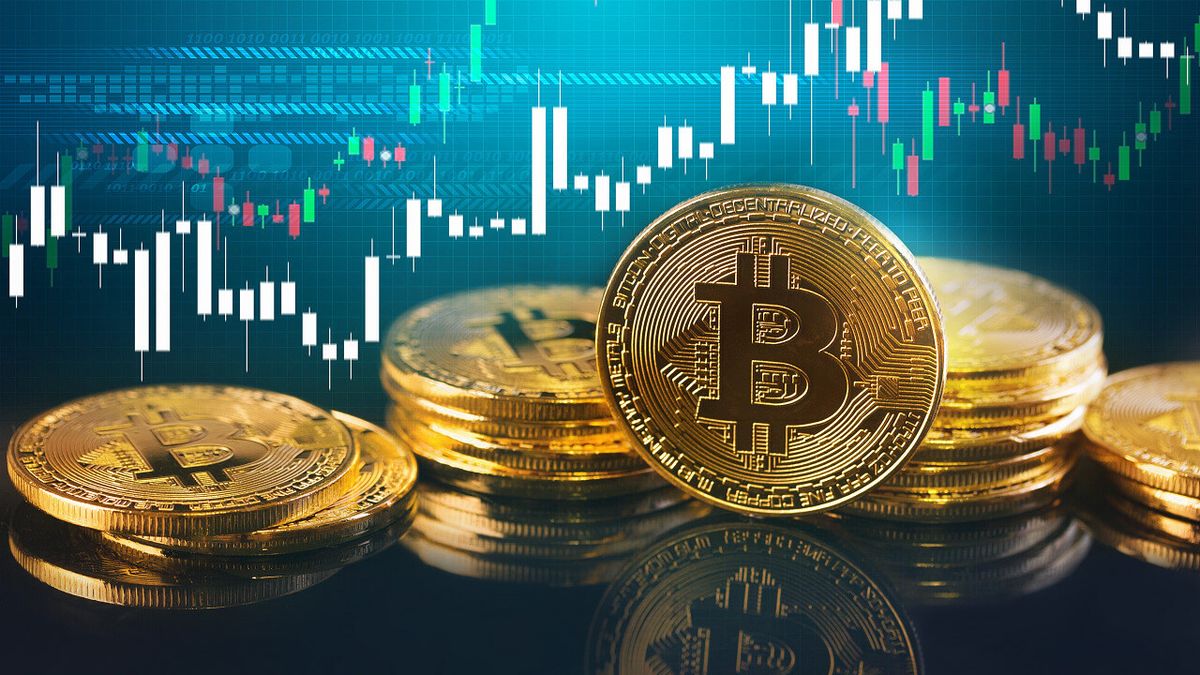 Los referentes de las criptomonedas que buscan crear un nuevo país con millones financiados
