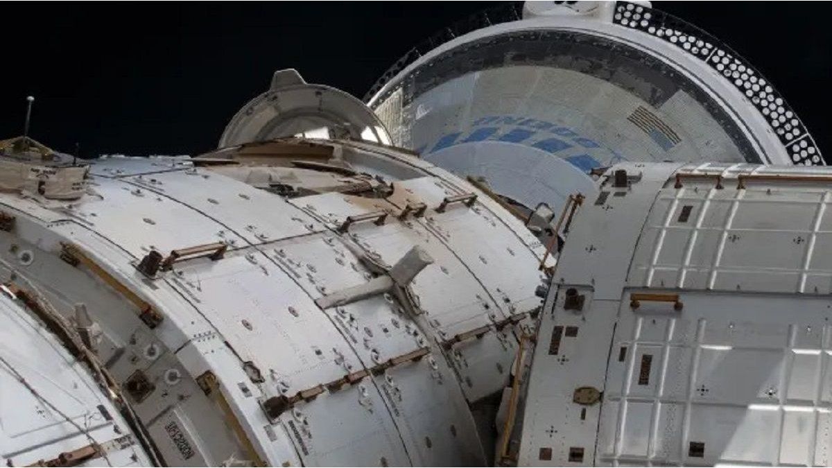 Rusia lanzó al espacio un arca de Noé con animales y plantas