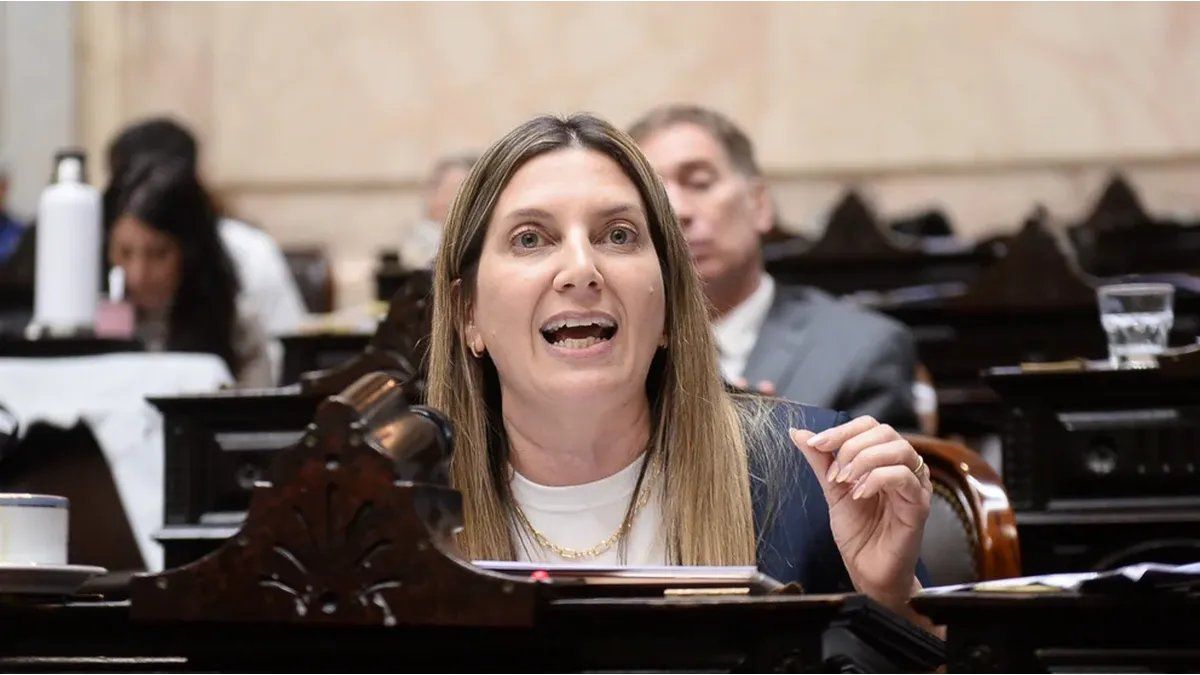 Silvia Lospennato se cruzó con Cristian Ritondo en el Congreso tras apoyar el rechazo a los vetos de Javier Milei