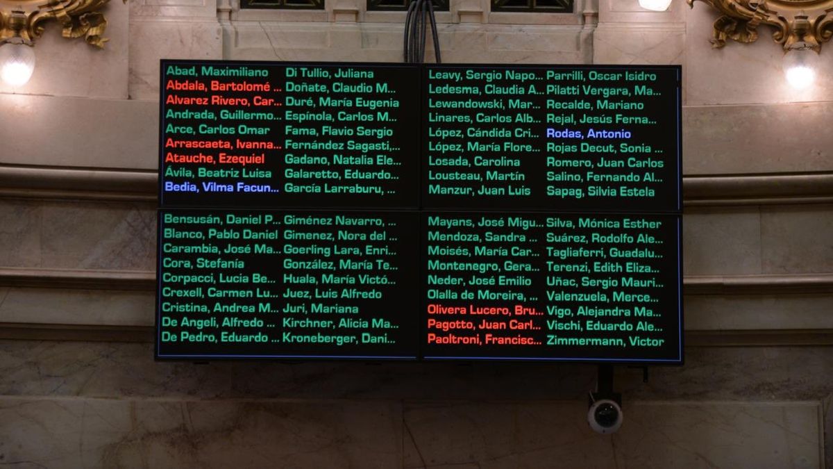 así votaron los senadores para rechazar el veto a la emergencia en discapacidad