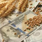 bajó a u$s1.818 millones, 55% menos que en julio