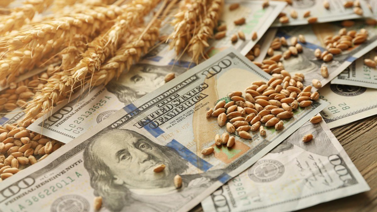 bajó a u$s1.818 millones, 55% menos que en julio