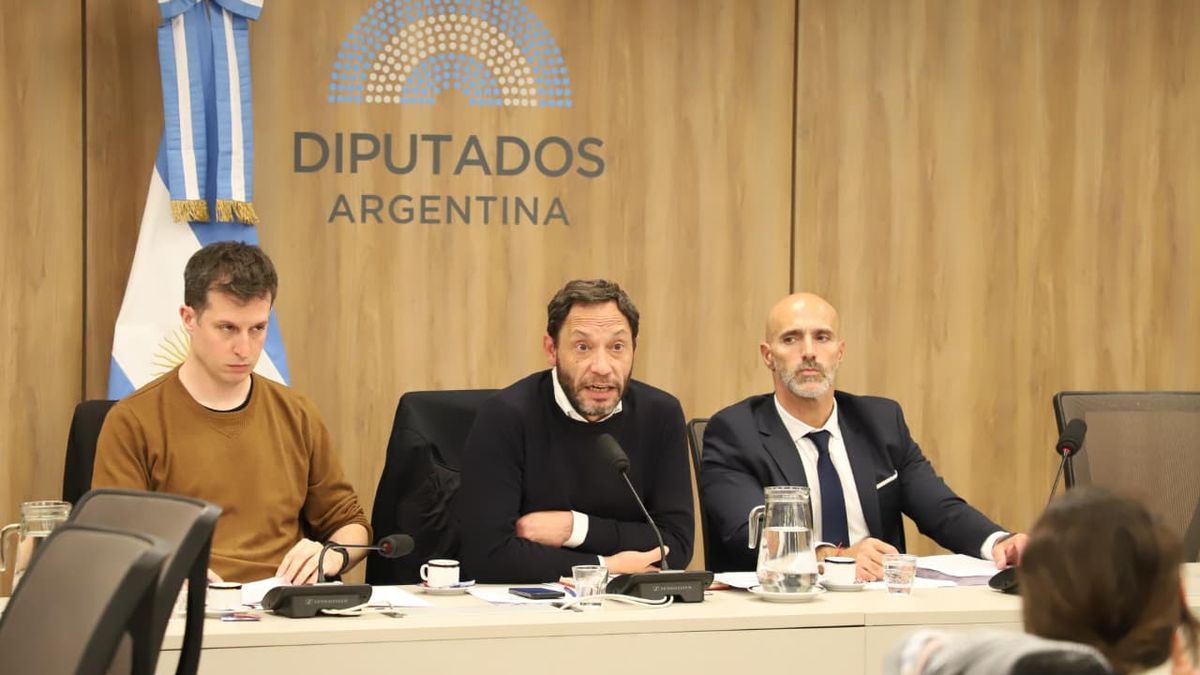 comisión investigadora convocó al presidente de la Oficina Anticorrupción y le enviaron preguntas a Javier Milei