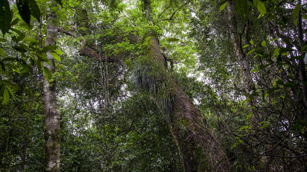 la comunidad que te invita a conocer y ayudar a la naturaleza