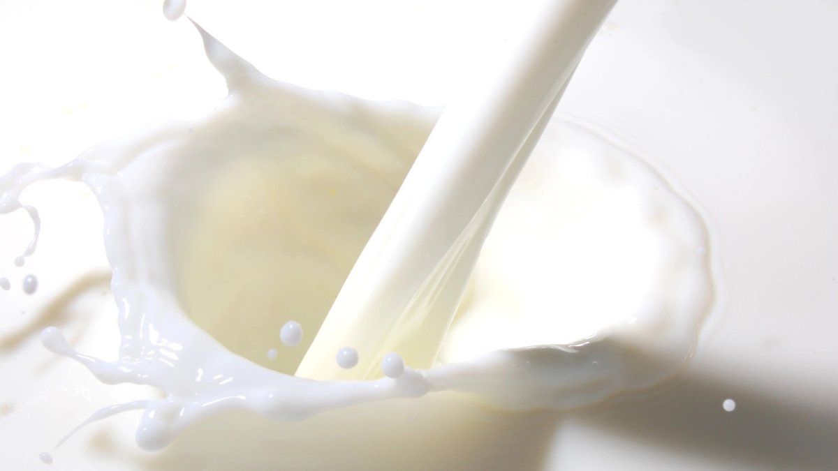 Este nutriente es clave para el fortalecimiento de los huesos y se puede encontrar solo en estos alimentos