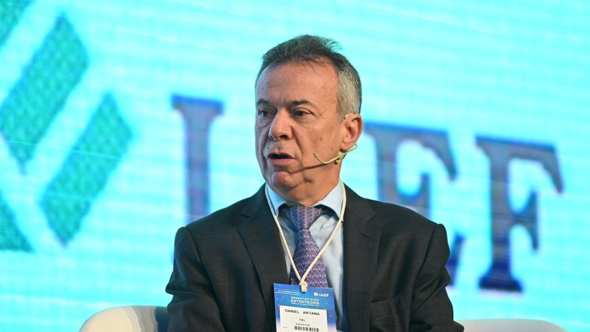 La advertencia de Daniel Artana sobre la estabilidad cambiaria actual: Es un equilibrio precario