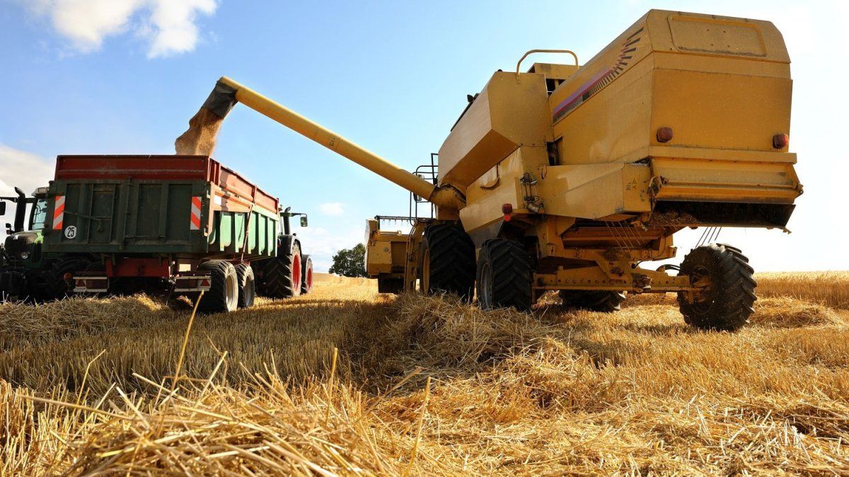 ARCA modifica los trámites del sistema informativo para productores del agro: ¿cuáles son los cambios?