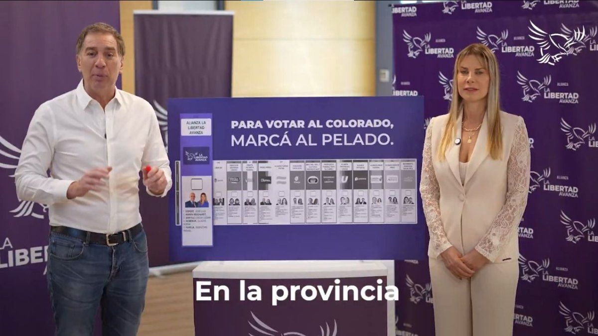 Para votar al colorado, marcá al pelado
