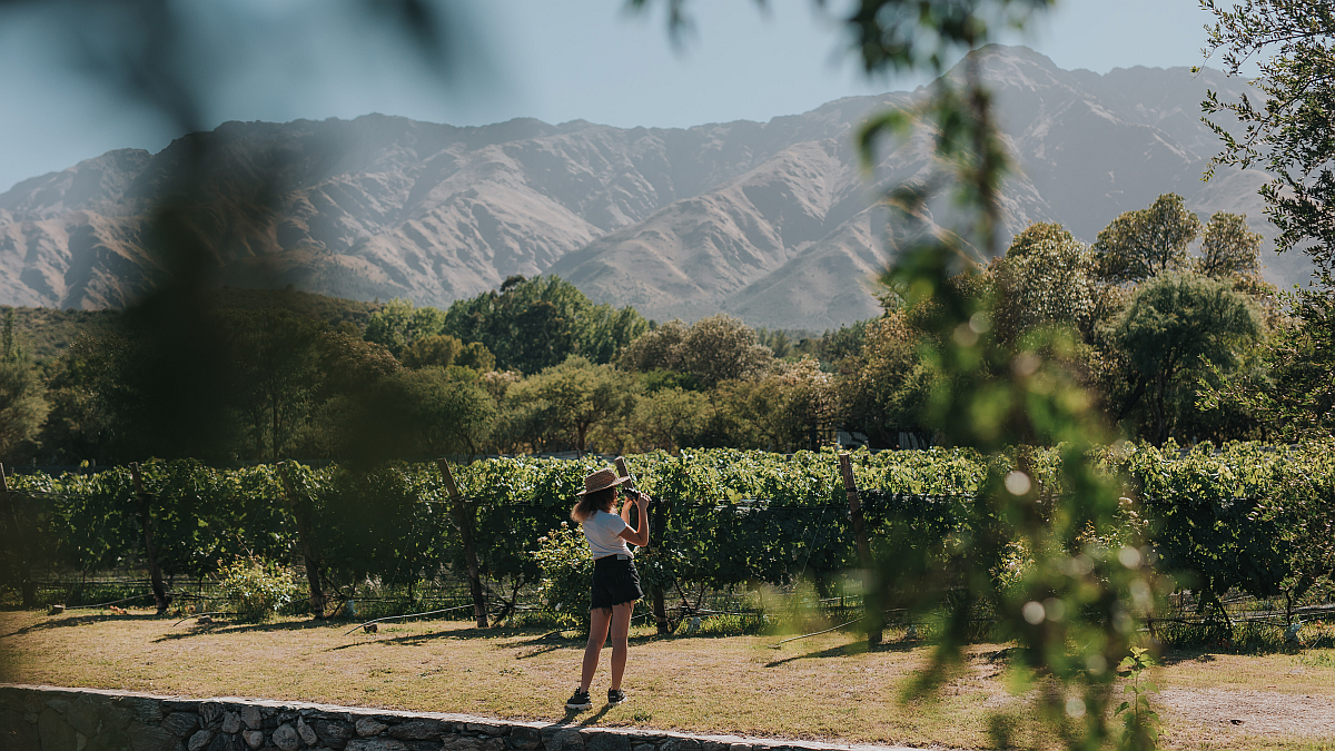 todos los detalles del turismo del vino por las sierras