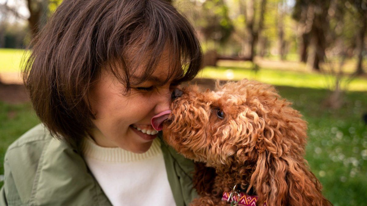 ¿Querés adoptar un perro? La Inteligencia Artificial reveló que raza va mejor con tu personalidad