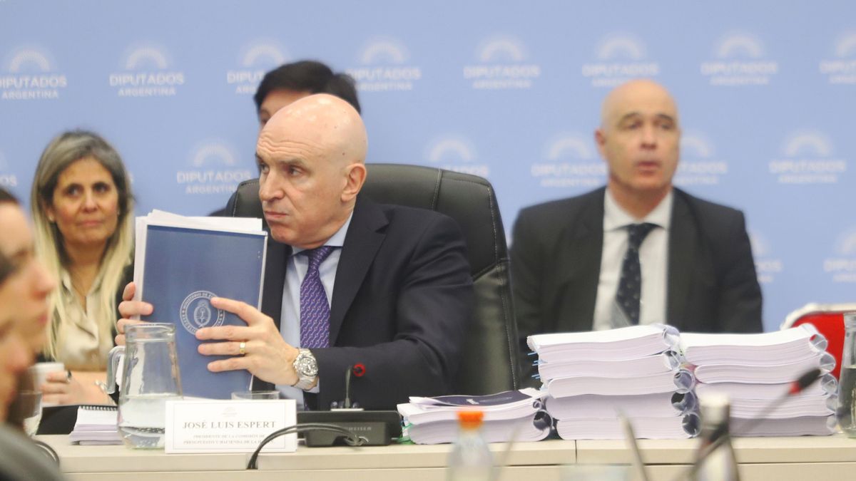 Diputados habilitaron un pedido judicial para que se investigue a José Luis Espert