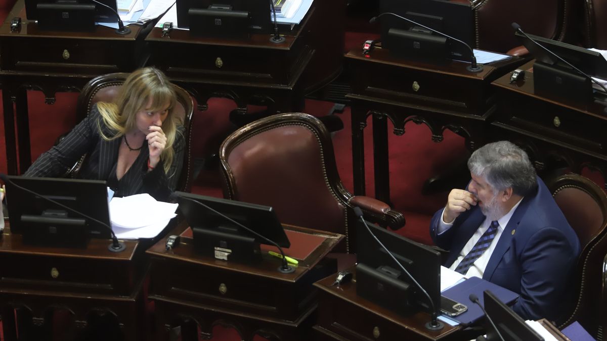 El PJ perderá poder de fuego en el Senado a partir del 10 de diciembre