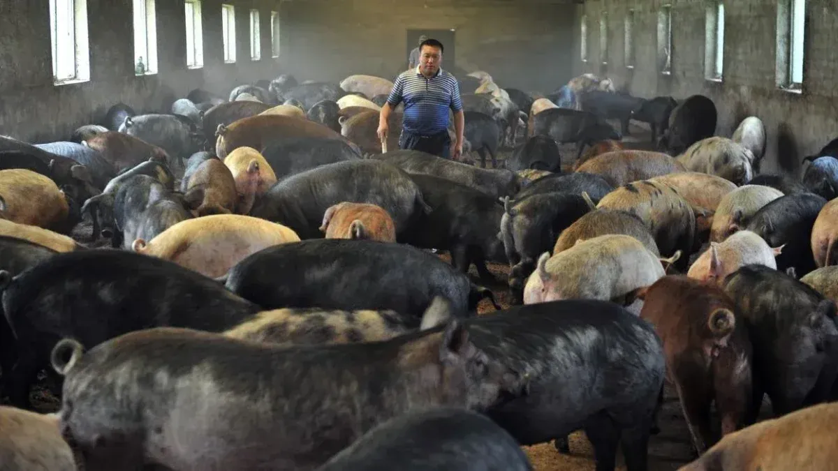 El humilde granjero que logró una fortuna de millones al encontrar una desagradable joya rural