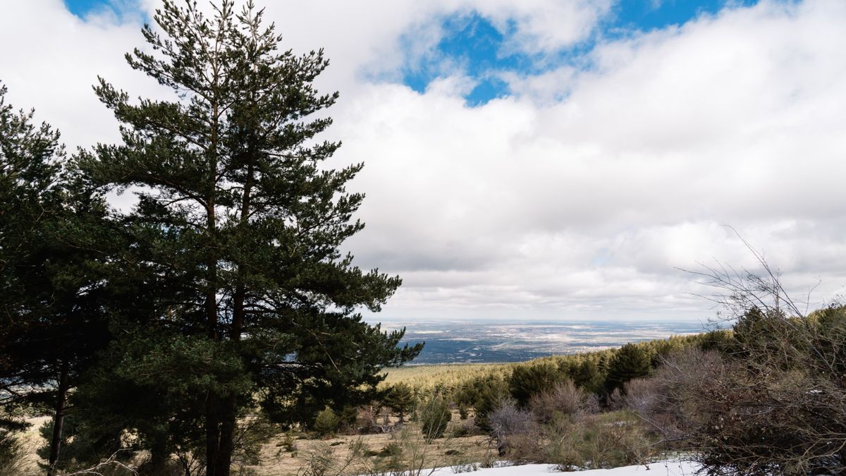 el descubrimiento que podría cambiar la economía