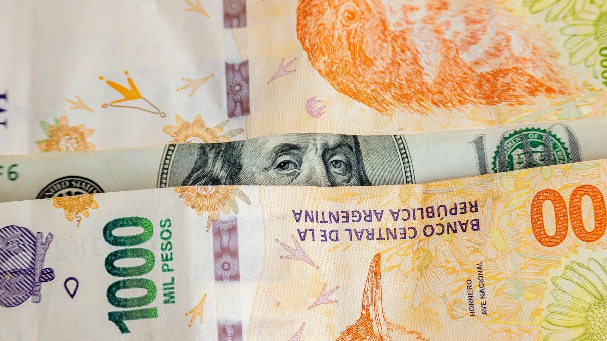 El peso argentino se depreció más de 30% frente al dólar por la incertidumbre preelectoral